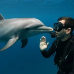 Il giorno in cui un delfino chiese aiuto ad un uomo: la storia incredibile di Enzo Maiorca